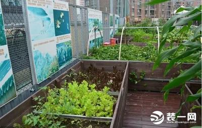 私家菜园设计实景图