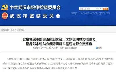 党纪立案审查