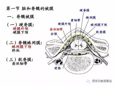 脊膜囊受压怎么治疗