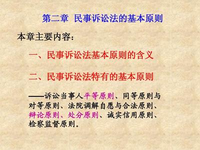 民事诉讼的基本原则