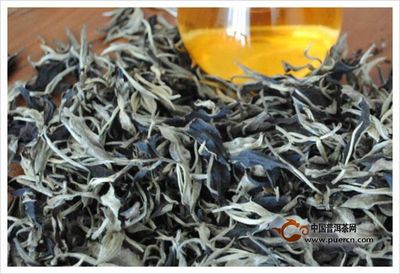 白茶属于哪类茶