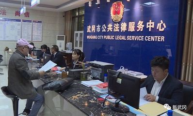 政府法律服务