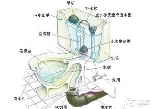 马桶的结构图