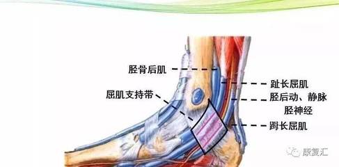 脚底疼痛怎么治疗