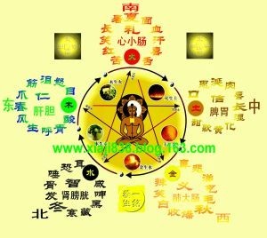 冰箱属什么五行属什么
