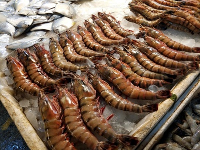 车虾和基围虾的区别