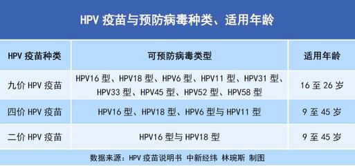 子宫和宫颈的区别