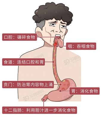 食道反酸是怎么回事