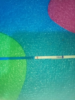 排卵后12天能测出怀孕吗