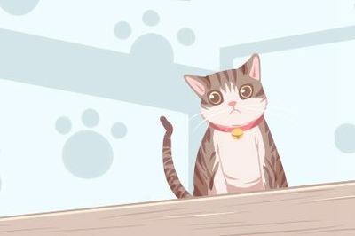 做梦梦到死猫