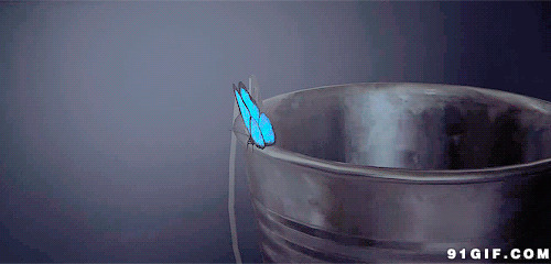 搞笑视频蝴蝶纸飞机下载