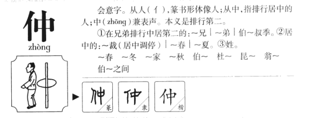 仲的五行