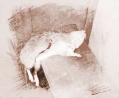 梦见别人杀老鼠