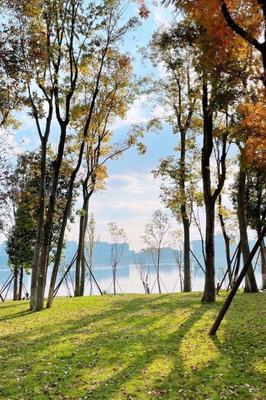 兴隆湖湿地公园 攻略