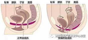 美容师滑又直的直肠