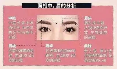 从眉毛看面相