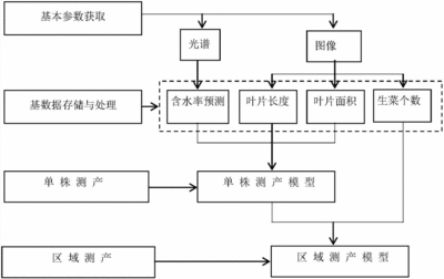 蔬菜行业专利