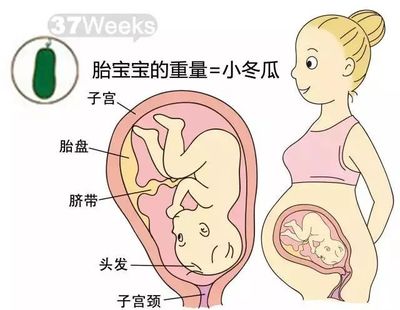 胎儿长头发