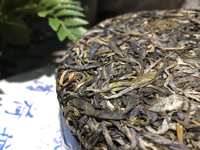 薄荷塘普洱茶的功效与作用