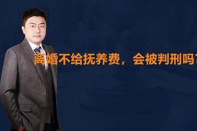 不拿抚养费会判刑吗