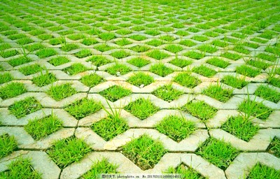 草坪地砖