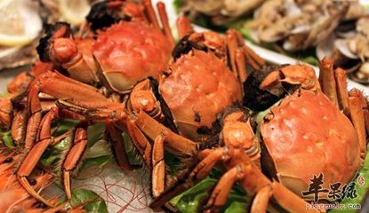 螃蟹的营养价值及功效