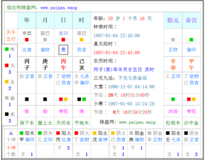 已亥五行属什么