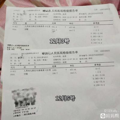 怎么算怀孕几周