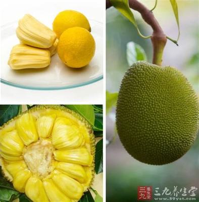 怀孕的人可以吃菠萝蜜吗