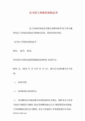 外派协议