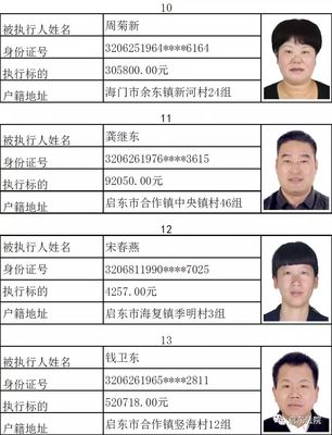 被执行失信人