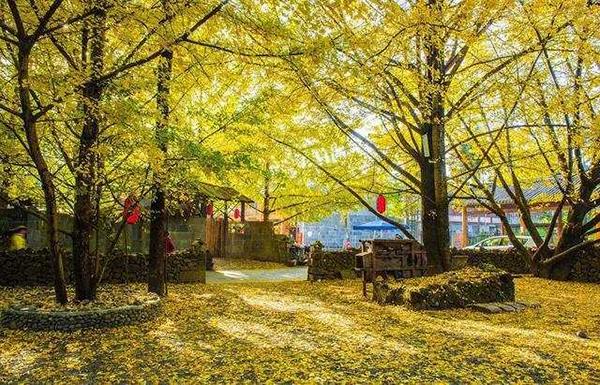 腾冲旅游介绍