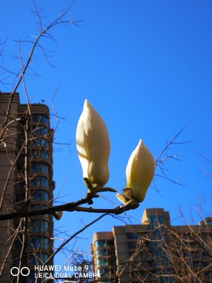 河北三河燕郊天气预报