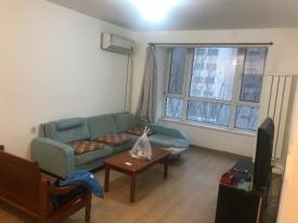 东丽房屋出租