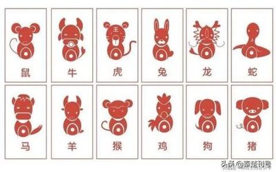 十二属相犯月