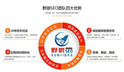 鹤壁SEO公司★免费网站优化诊断!快速排名首页第1名!