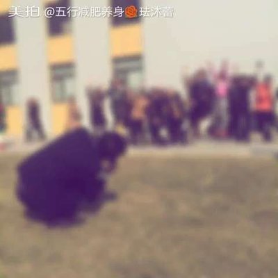 蕾的五行