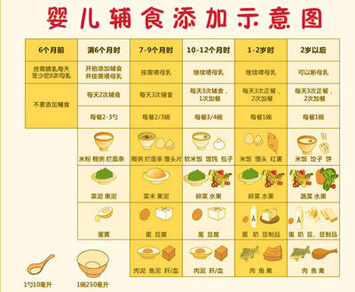 9个月宝宝喂养时间图