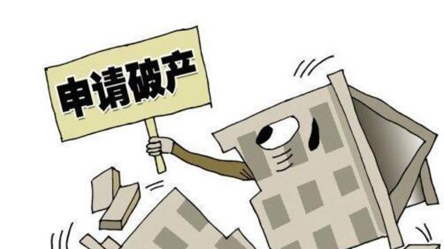 公司破产 法人