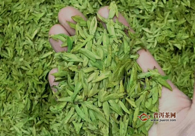 绿茶可以冲泡几次