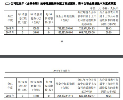 股东分红方案