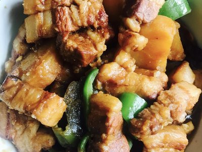 红烧肉排骨的做法大全家常