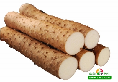 减肥山药能吃吗