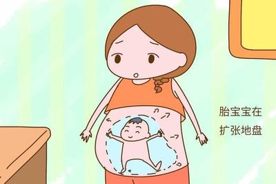 怀孕一共几个月