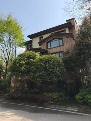 重庆二手别墅