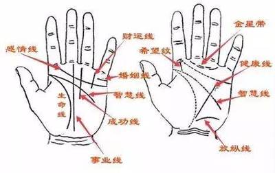 男左手婚姻线图解大全