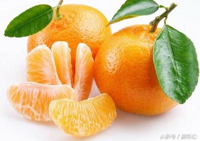 杏的寓意