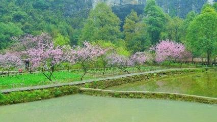 三月底旅游攻略