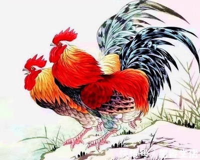 今年属鸡运势