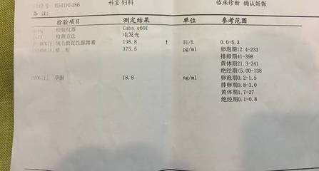怀孕几天算一个月